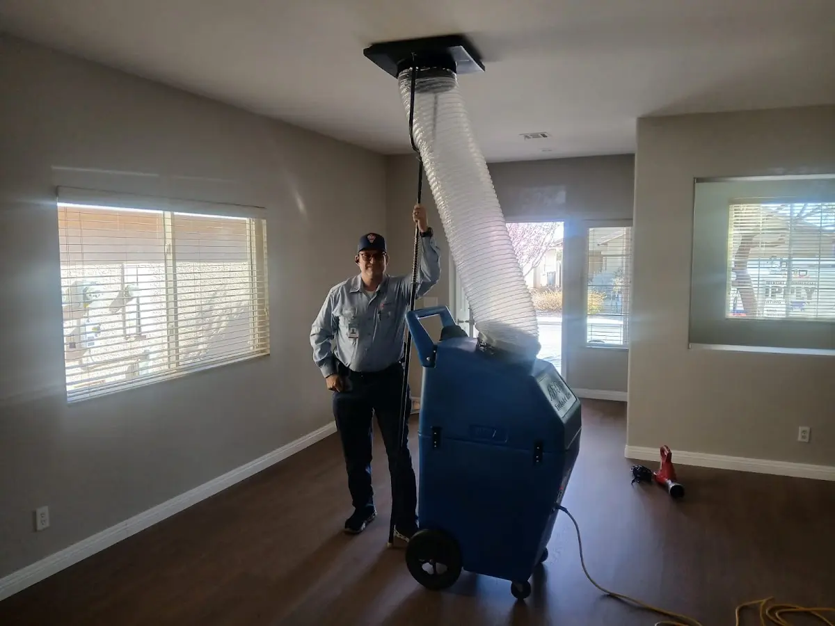 Professional Dryer Vent Cleaning work inside a Limerick home